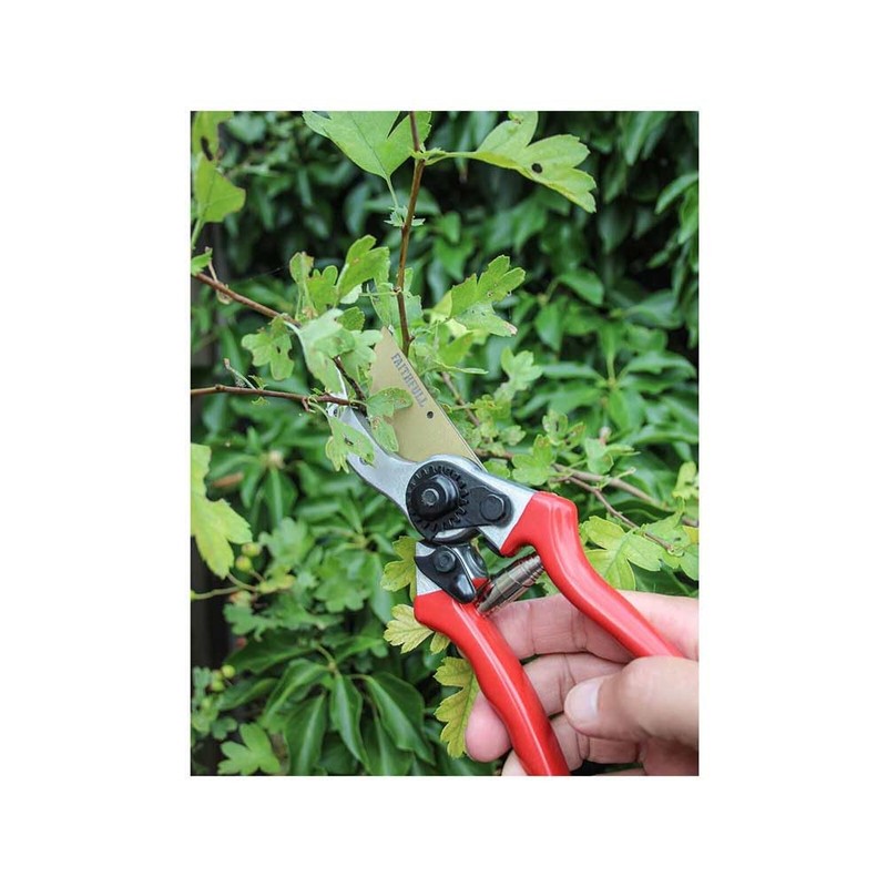 Faithfull FAICOUBYPRO8 Countryman Professional Bypass Secateurs - 215mm (8in)