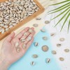 PH PandaHall 100pcs Natural Cowrie Seashells, 20mm Ring Top Cowrie