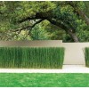 15 x Horsetail Reed Bamboo Looking Zen Garden & Pond