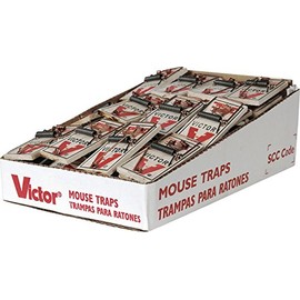Metal Pedal Mouse Trap, 2-Pk.