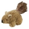 OurPet's PlayNSqueak Backyard Cat Toy Squeaking Squirrel, All Breed Sizes