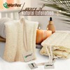 Waritex Premium Natural Egyptian Loofah Sponges, Made from 100% Natural