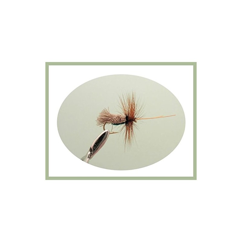 12 Special Dry Trout Flies, Black Horn Sedge, G &