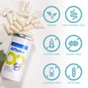 Alflorex Original 12 Week Gut Health Plan - by PrecisionBiotics