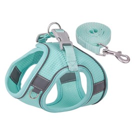 grooblue Dog Harness Lead Set for Small Dogs, Medium Dogs and Cats, Breathable Mesh, Lightweight, Easy to Put on and Take Off, Pull Resistant, Reflective, Adjustable, Cute, Fashionable (Mint Green, S)