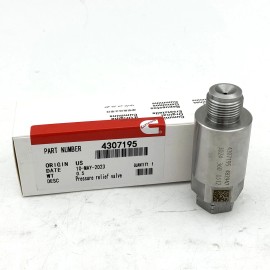 linqumutton Common Pressure Relief Valve Fits for Cummins ISX15 QSX15 5473196 4307195 New