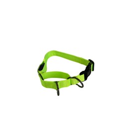 Light-Up Martingale Training Adjustable Dog Collar – Waterproof, LED Illuminated, USB Rechargeable, Reflective Safety, Durable Nylon (Green, Large)