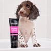 Animology Puppy Love Mild Dog Shampoo, Twin Pack, 250ml