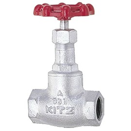 Kitz 10K 3/4 10SD20A Globe Valve with Zisk