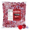 Sugar Free Hot Cinnamon Hard Candy Discs 1 Pound Christmas