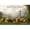 Maca Peruana En Polvo Amarilla- 250g Premium - Complejo B