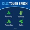 BioAdvanced Brush Killer Plus Spray - Kills Poison Ivy -