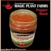 Magic Plant Farm 2 Carolina Reaper Pepper Paste + 1