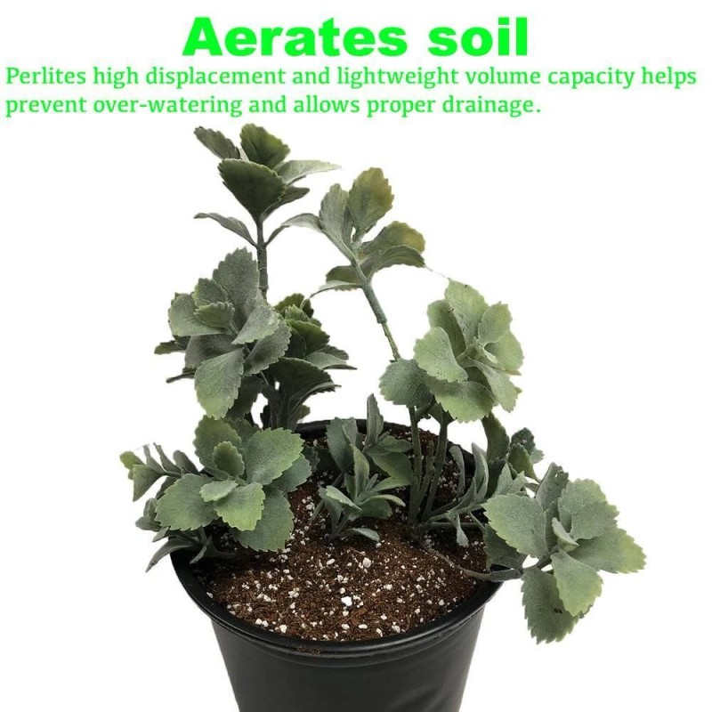 Viagrow 4 Cu. Ft. Perlite , Green for house propagation