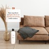 Bayes Premium High Performance Leather Upholstery Cleaner and Conditioner -