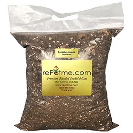 Cymbidium Imperial Orchid Mix (Standard Bag)