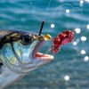 Fishing Lures for Trout | Sinking Sequin Jig Metal Spinner