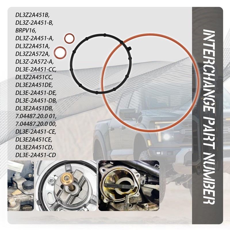 HQPARRTS Vacuum Pump Rebuild Seal Kit Compatible with Ford Lincoln