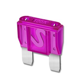 10pcs 100AMP Maxi Fuses - 100A Automotive Blade Fuse for Auto, Car, Rv, Boat, Truck