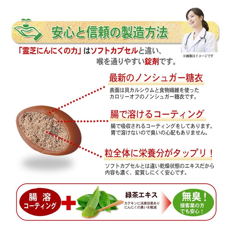 大日ヘルシーフーズ 霊芝にんにくの力 30粒入×3袋 にんにく卵黄 霊芝 高麗人参 マカ 亜鉛 配合 サプリ