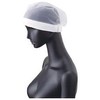 sanpekkusu Hair Net, White, One (10 Piece) G – 5071 – F