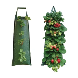 Nutley's Hanging Strawberry Flower Bag Planter Pouch grow fruit herbs flowers UV treated (Pack of 2)