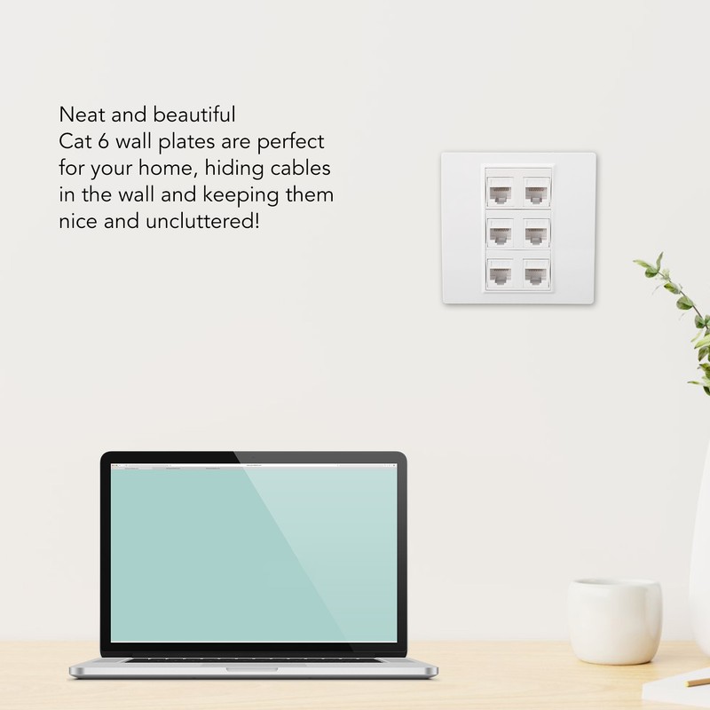 6 Port Cat 6 Ethernet Wall Plate Removable Female to