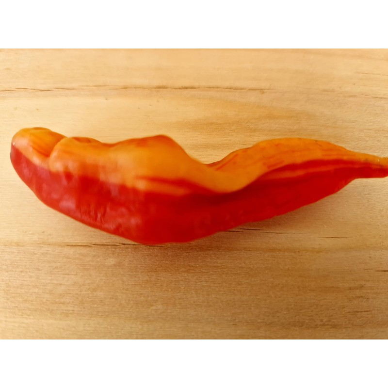 Sugar Rush Peach Stripey Chilli Seeds - Sugar Rush Peach