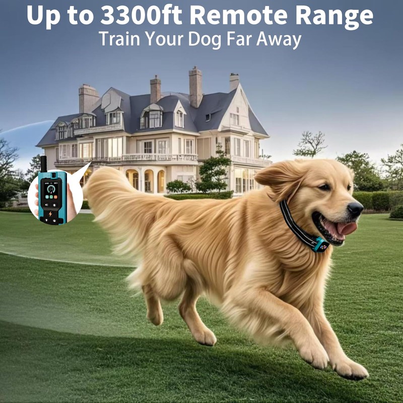 Dog Training Collar with Remote - 5 Modes with Step