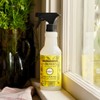 MRS. MEYER'S CLEAN DAY Multi-Surface Everyday Cleaner, Dandelion Scent, 16