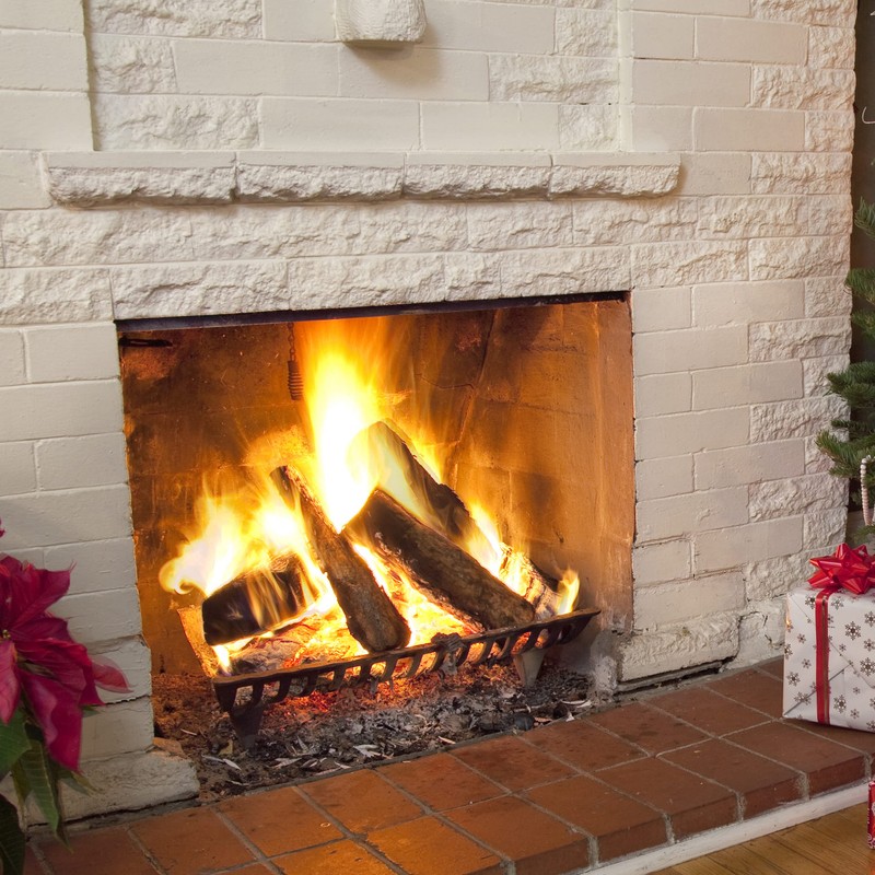 AGTEK Fireplace Grate 18 inch Cast Iron Fire Place Grates