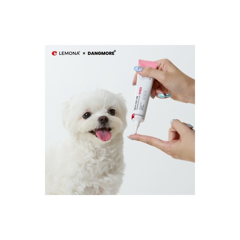 Lemona X Dangmore Hydrating Cream 40ml / 레모나X댕모어 촉촉 크림