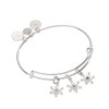 Alex and Ani Snowflake Charm Bangle