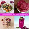 Slices of Dragon Fruit,Dried Dragon Fruit Slices,Low Temperature Roast,Dried Pitaya,Independent