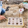BUGUUYO 12pcs Portable Mineral Rock Specimen for Geology Education Lightweight