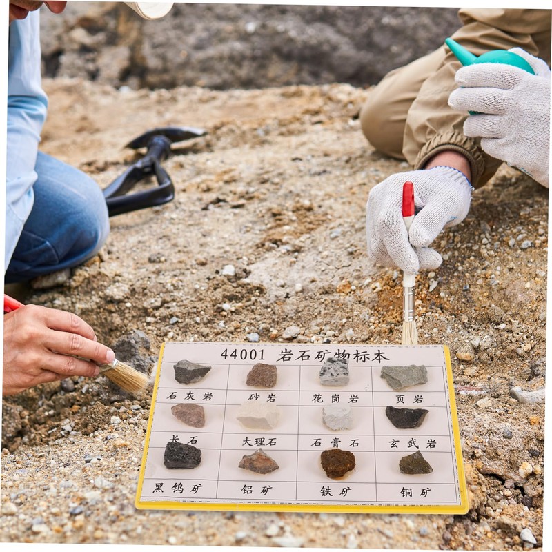 BUGUUYO 12pcs Portable Mineral Rock Specimen for Geology Education Lightweight