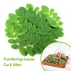 FullChea - Moringa Tea, 50 Teabags - Pure & Natural