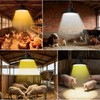 2-Pack Solar Chicken Coop Light with Timer, Barn Light for