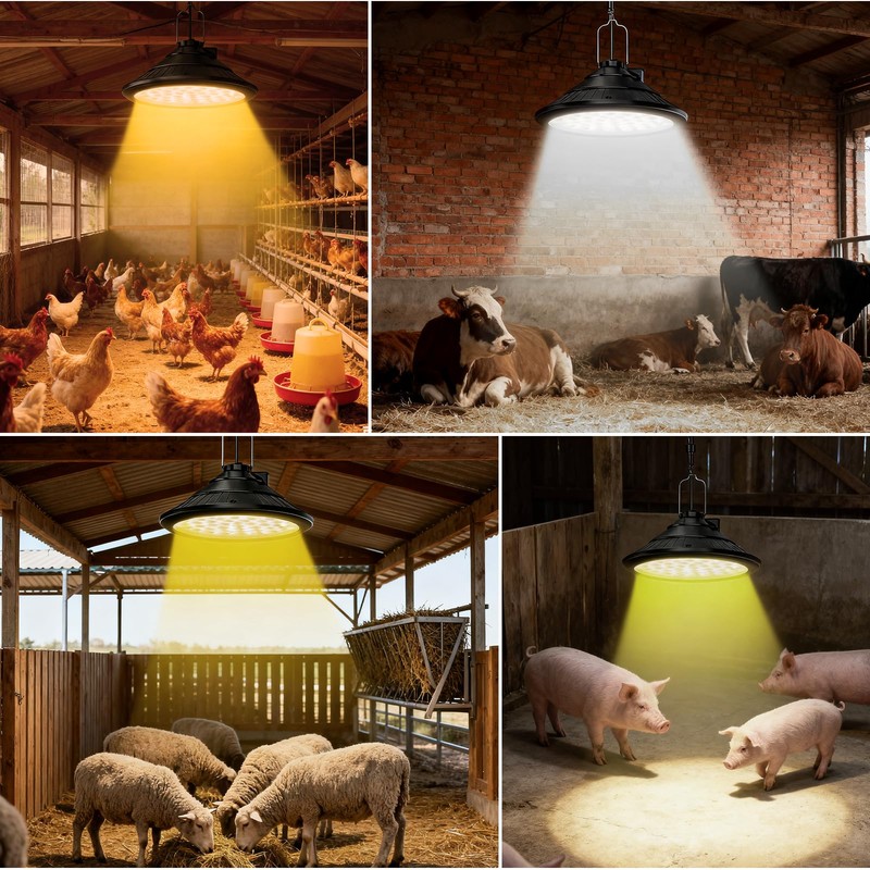 2-Pack Solar Chicken Coop Light with Timer, Barn Light for