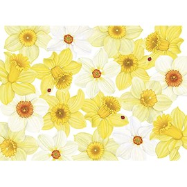 Caspari 5 Greeting Cards Notelets Blank & envelopes - Easter cards - DAFFODILS & LADYBUGS- 10 x 15 cm closed