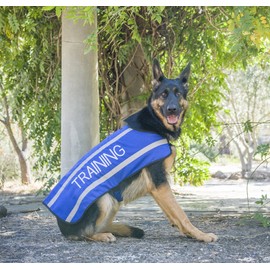 TRAINING (Dog In Training/Do Not Disturb) Blue Colour Coded S M L Reflective Waterproof Fleece Lined Warm Dog Coats PREVENTS Accidents By Warning Others Of Your Dog In Advance (L-XL)