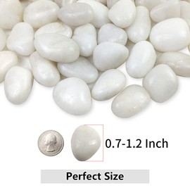 YISZM 2lbs Natural Decorative White Pebbles, 3/4-1 1/4 Inch High Polished River Rock Stones for Plants Vase Fish Tank Aquariums Landscaping Garden Outdoor and Indoor DIY