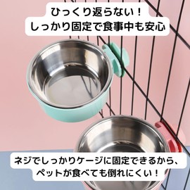 AQUALOACH Pet Bowl Hanger for Gauges, Pet Dishes, Water Bowl, Bait Container for Cats, Dogs, Rabbits, Small Animals, Green