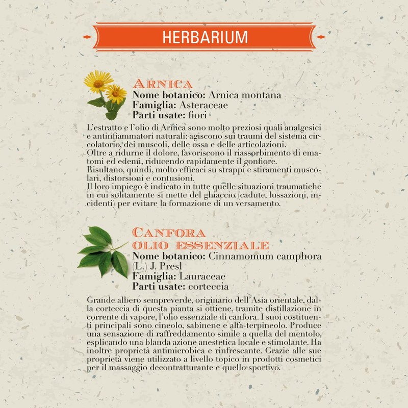 Helan, I Rimedi Oleolito by Arnica Camphorato - Ideal for