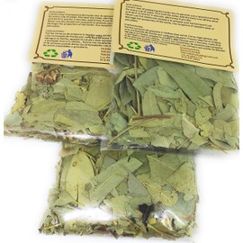 Eucalipto Hierba/Tea (10.6 Grms.) 3 bags