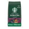 Starbucks Ground Coffee, Dark Roast Hot or Iced Coffee, Single-Origin
