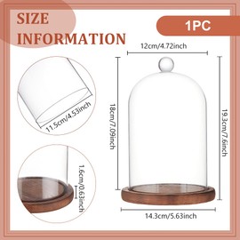 BENECREAT 7x5 Inch Glass Dome Cloche with Wooden Base, Rustic Bell Jar Display Clear Glass Bell Cloche for Plants, Fairy Lights or Table Decor