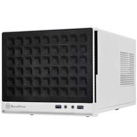 SilverStone Technology Ultra Compact Mini-ITX Computer Case with Mesh Front Panel White & Black (SST-SG13WB-USA)