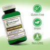 Green Organic Supplements' Blood Purifier
