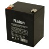 Raion Power 12V 5Ah T2 F2 Battery For Energy Power
